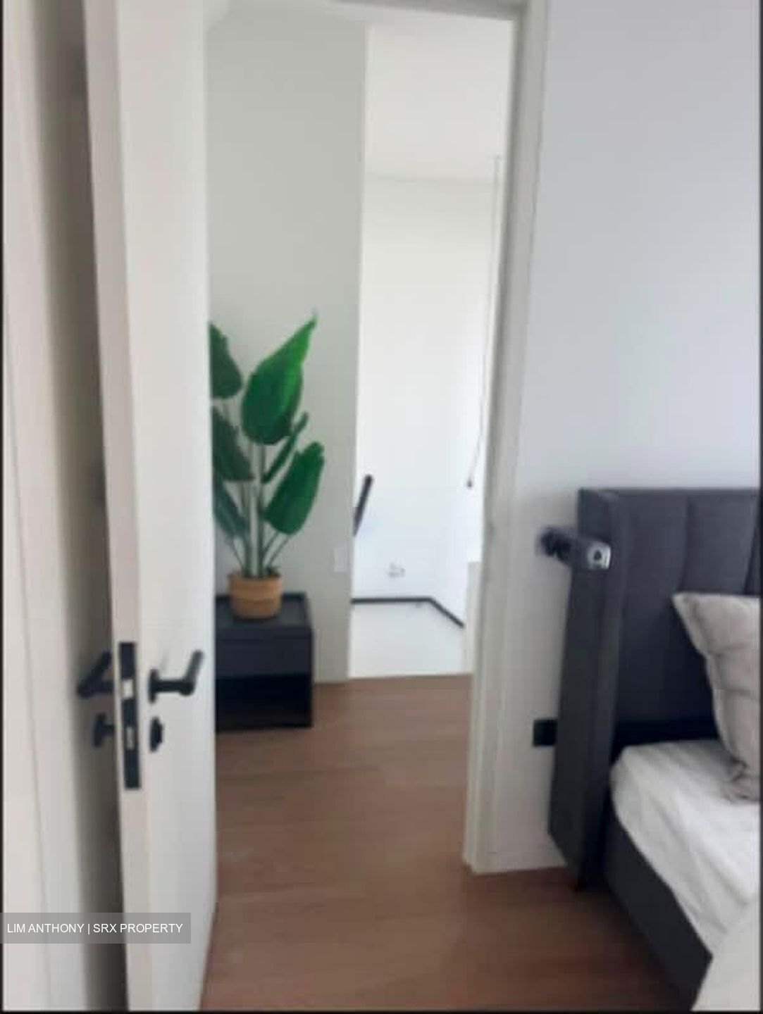 10 Evelyn (D11), Apartment #566593771